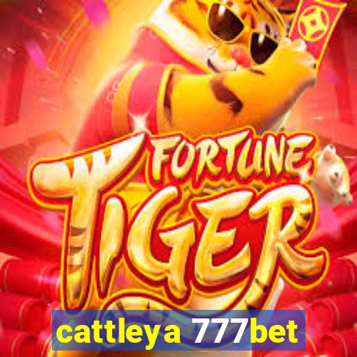 cattleya 777bet