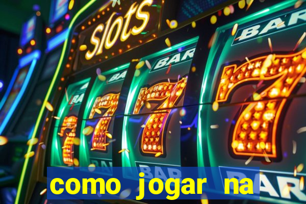 como jogar na lotinha do jogo do bicho