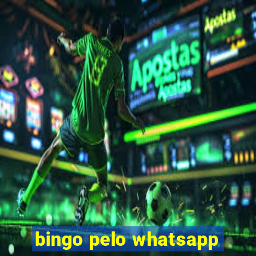 bingo pelo whatsapp