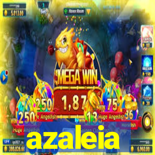 azaleia-br.com