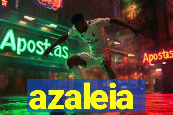 azaleia-br.com