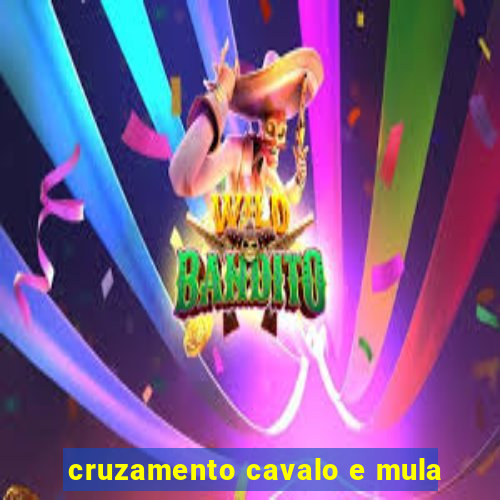 cruzamento cavalo e mula