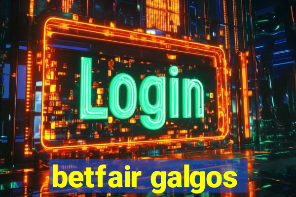 betfair galgos