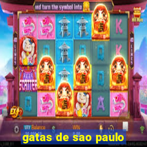 gatas de sao paulo