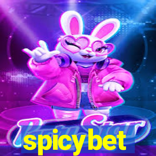 spicybet-2.com