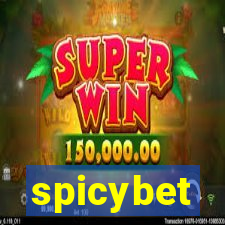 spicybet-4.com