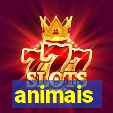 animais-pg.com