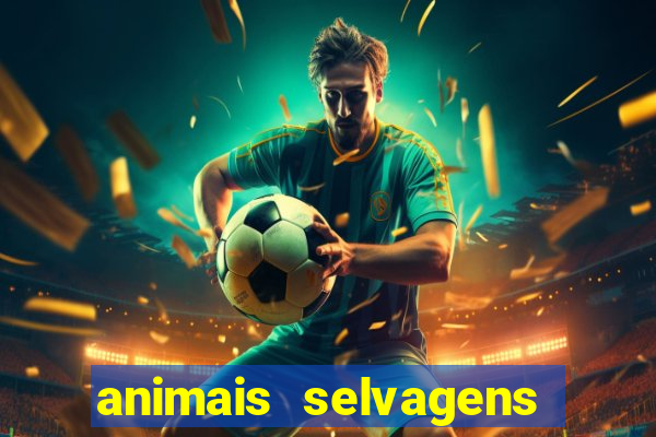 animais selvagens fotos e nomes